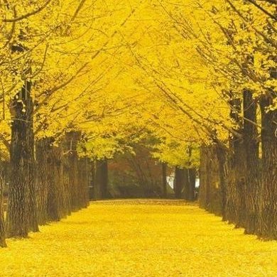 Profile Picture of Zaw Htoo (@zawhtoo09405616) on Twitter