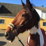 Profile Picture of Dina Naas hostrup pedersen (@dina_og_indy) on Instagram