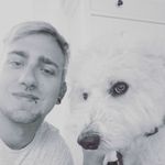 Profile Picture of André Messerschmidt (@andremesserschmidt) on Instagram