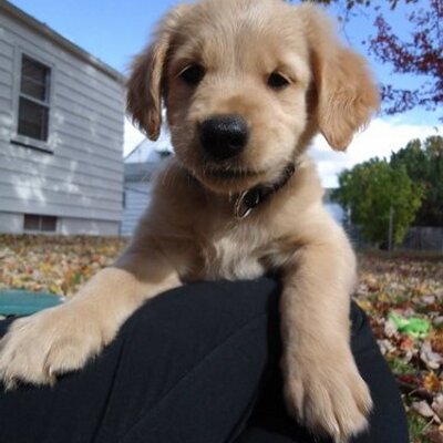 Profile Picture of Ted Jurek (@booomer244) on Twitter