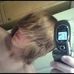 Profile Picture of Eric Swiger (@eric.swiger.31) on Facebook