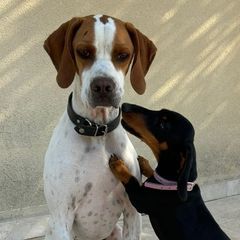 Profile Picture of Gregory Brs (@gregory.brs) on Tiktok