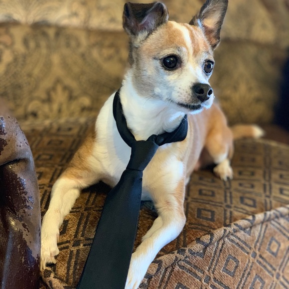 Dan Peshkov - Poshmark Profile Picture of Dan Peshkov (@daniel_p244) on Poshmark