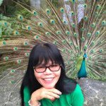 Profile Picture of Cecil Arroyo (@cecil1555) on Instagram