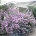 Profile Picture of Nancy Dobson (@nhdobson) on Pinterest