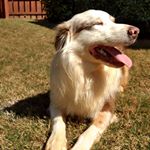 Profile Picture of Ramona (@monablair2018) on Instagram