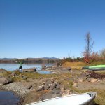 Profile Picture of Isabelle Curtis (@isabelleart) on Instagram