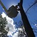 Profile Picture of Jesse Staab (Staab tree service ) (@jesse.staab.16) on Facebook