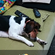 Profile Picture of Kevin Perdomo (@kevinperdomo1726) on Youtube