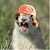 Profile Picture of Micah Berger (@cheeseberger2017) on Pinterest