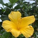 Profile Picture of jim Logan (@jimrobertlogan0147) on Instagram