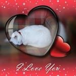 Profile Picture of Penny Confos Latimer (@pennylatimer) on Instagram