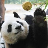 Profile Picture of Min Yan (@min-yan-8) on Quora