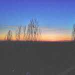 Profile Picture of Lisa Lowery (@loweryx4779) on Instagram