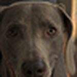 Profile Picture of Blake T (@blake kenneth) on Flickr