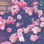 Profile Picture of Расулева Карина (@karina_venum10) on Instagram