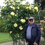 Profile Picture of Tony Martello (@albeit93) on Instagram