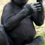 Tony Hames - Facebook Profile Picture of Tony Hames (@Tony-Hames) on Facebook