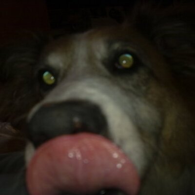 Alexander Navas - Twitter Profile Picture of Alexander Navas (@alexnavas1) on Twitter