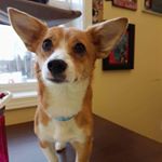Profile Picture of eugene_mcgee (@eugene_mcgee) on Instagram