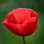 Profile Picture of Jean Landry (@jeanlandryphoto) on Instagram