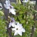 Profile Picture of Melba Scott (@melba.scott.547) on Facebook