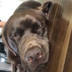 Profile Picture of Kerry Rose-jon Kenneth (@kgautsch) on Instagram