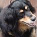 Profile Picture of Nancy Workman (@nancy.workman.965) on Facebook