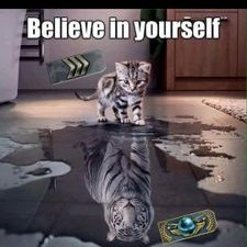 Profile Picture of Bryan Teh Yu Hao (@BryanTehYuHao) on Twitter