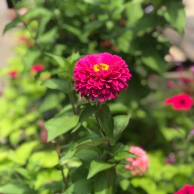 Profile Picture of Diana Palacios (@DianaPalacios48) on Twitter