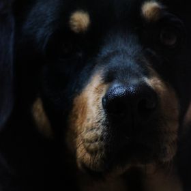 Mauro Hernández - Pinterest Profile Picture of Mauro Hernández (@maurohdeztdo) on Pinterest