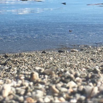Profile Picture of Ava Palmer (@AvaPalm15226625) on Twitter