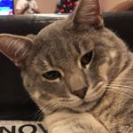 Profile Picture of Seth Boyer (@unknownbiker513) on Instagram