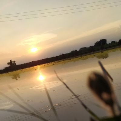 Profile Picture of Vishal Yadav Hindu (@VishalY11498508) on Twitter