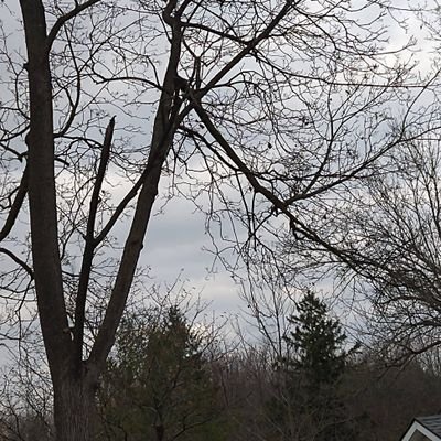 Profile Picture of Steve Lukacs (@SteveLukacs2) on Twitter