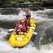 Profile Picture of Robbie Kerns (@robbiekerns) on Pinterest