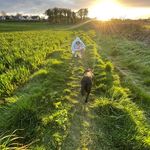 Profile Picture of Jordan Neill (@pawsnstrides) on Instagram