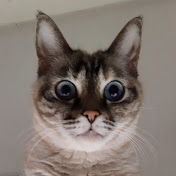 Profile Picture of Jimmy Lin's Catz Craft Channel (@catzcave) on Youtube