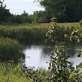 Peter Rogerson - Facebook Profile Picture of Peter Rogerson (@peter.rogerson.739) on Facebook