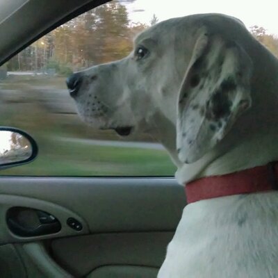 Profile Picture of Todd Howarth (@toad1437) on Twitter