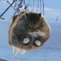 Profile Picture of Thomas H. Krenn (@thomas-h-krenn) on Quora