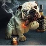 Profile Picture of Mario L. Resto (@mariol.resto) on Instagram