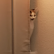 Profile Picture of Lisa Liebold (@lisschen2310) on Youtube