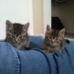 Profile Picture of Lucy And Ethel Knapp (@lucy_and_ethel_knapp) on Instagram