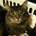 Profile Picture of Pamela Weldon (@paweldon) on Pinterest