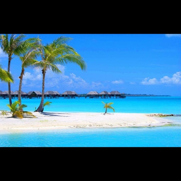 Profile Picture of Haley Cordova (@haydova23) on Poshmark