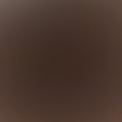 Profile Picture of Darian Wright (@darianwright6554) on Youtube