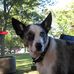 Profile Picture of Toby Miller (@toby.miller.7543) on Facebook