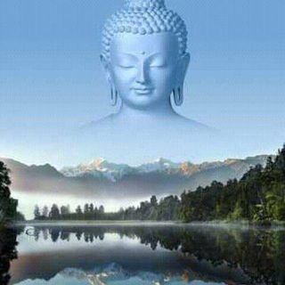 Profile Picture of Daryl Munnings (@Daryl-Munnings) on Facebook