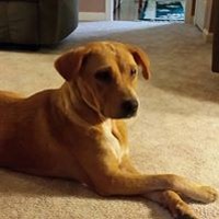 Profile Picture of Mary Dave Larche (@mary-dave-larche) on Quora